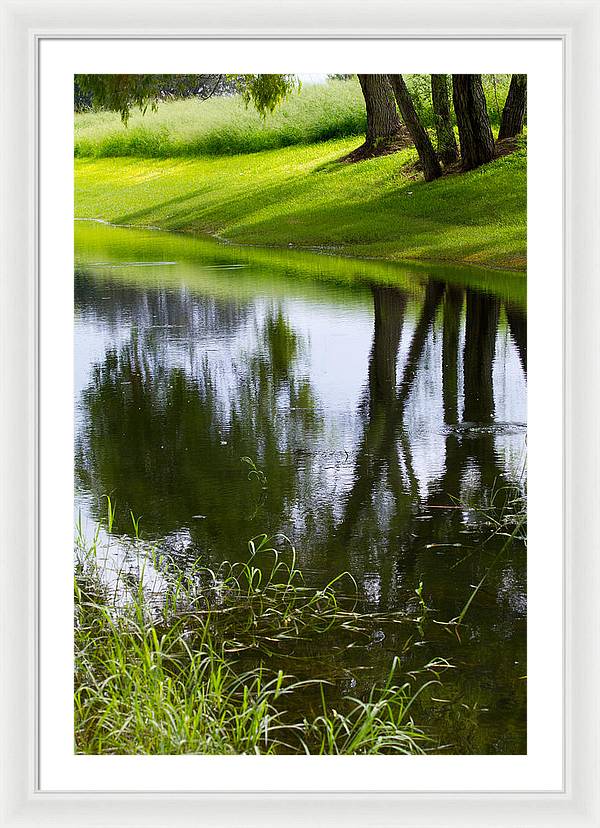 Afternoon Reflections - Framed Print