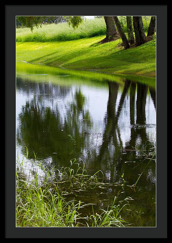 Afternoon Reflections - Framed Print