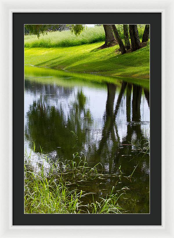 Afternoon Reflections - Framed Print