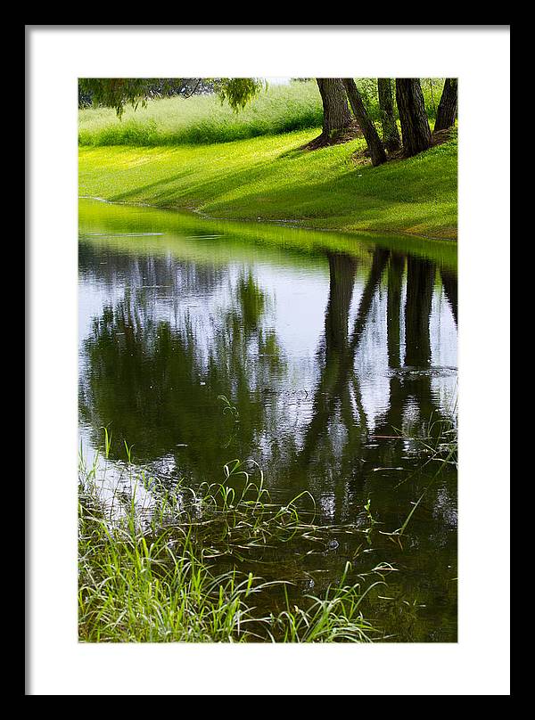Afternoon Reflections - Framed Print