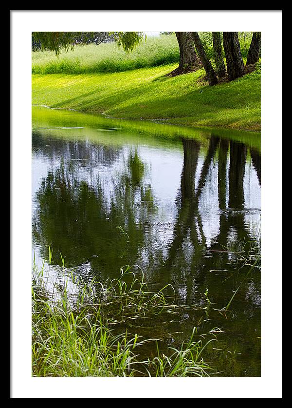 Afternoon Reflections - Framed Print