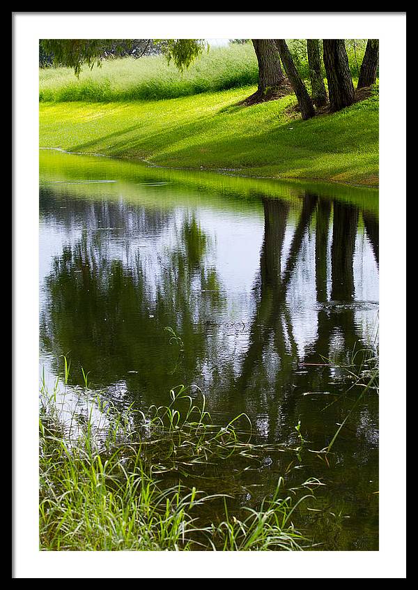 Afternoon Reflections - Framed Print