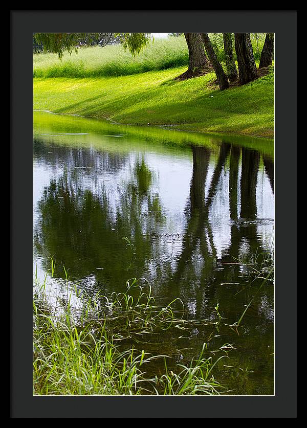 Afternoon Reflections - Framed Print