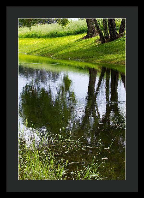 Afternoon Reflections - Framed Print