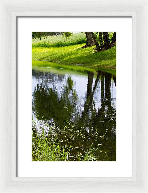 Afternoon Reflections - Framed Print