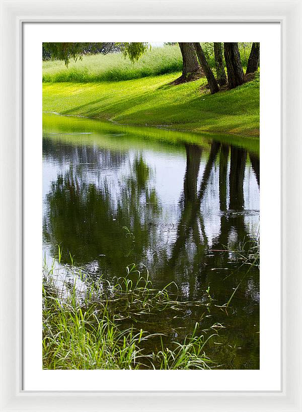Afternoon Reflections - Framed Print