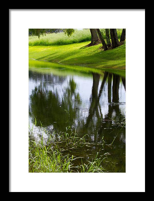 Afternoon Reflections - Framed Print
