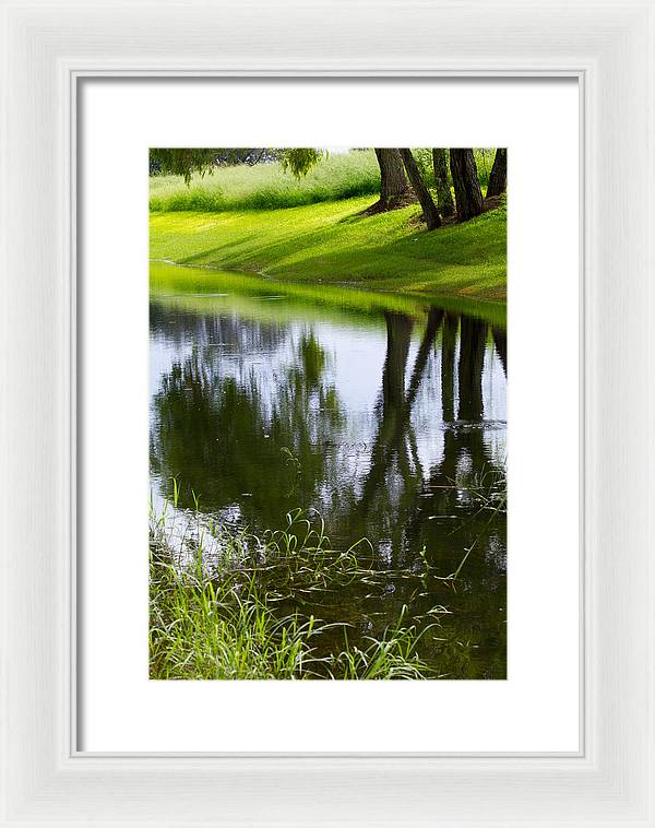 Afternoon Reflections - Framed Print