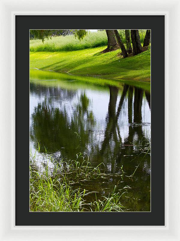 Afternoon Reflections - Framed Print