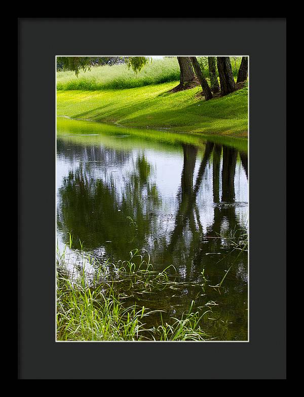 Afternoon Reflections - Framed Print