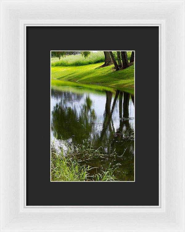 Afternoon Reflections - Framed Print