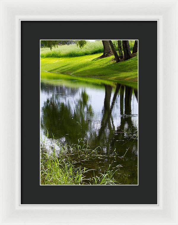 Afternoon Reflections - Framed Print