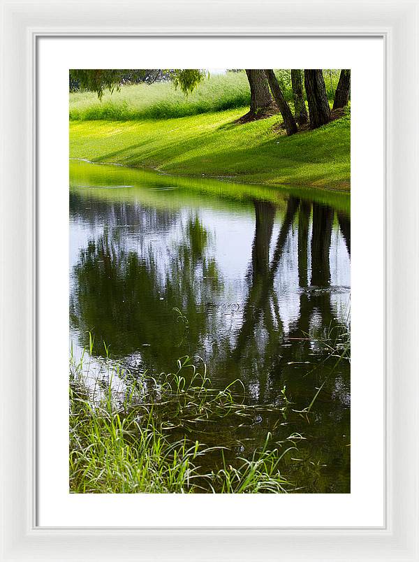 Afternoon Reflections - Framed Print