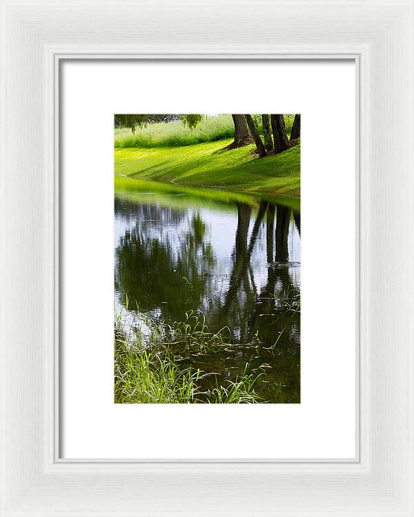 Afternoon Reflections - Framed Print