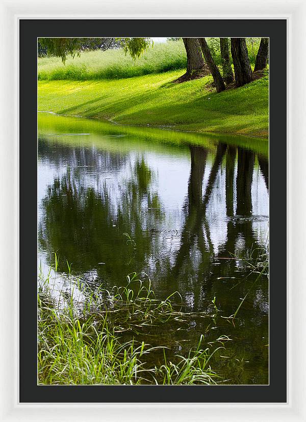 Afternoon Reflections - Framed Print