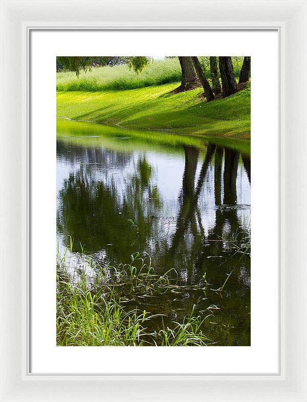 Afternoon Reflections - Framed Print