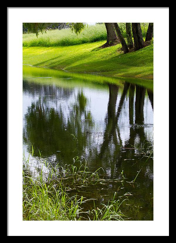 Afternoon Reflections - Framed Print