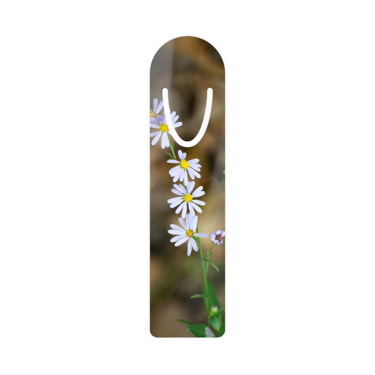 Collector's Bookmark - Small Wonders