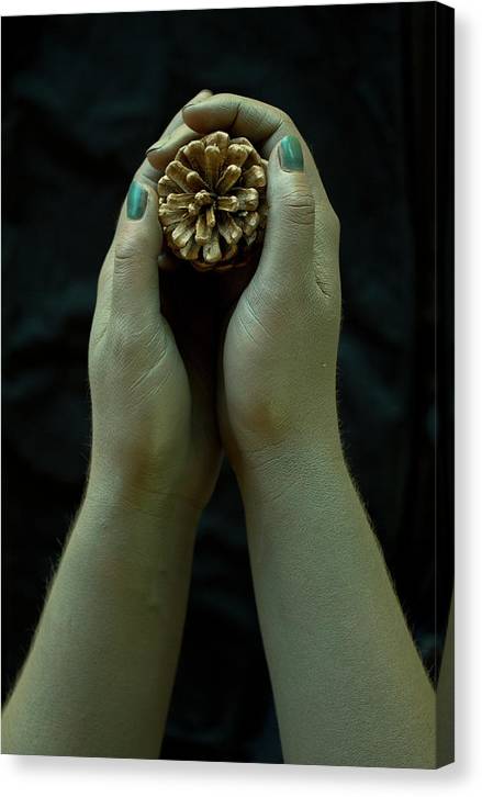 Dryad's Hands - Canvas Print