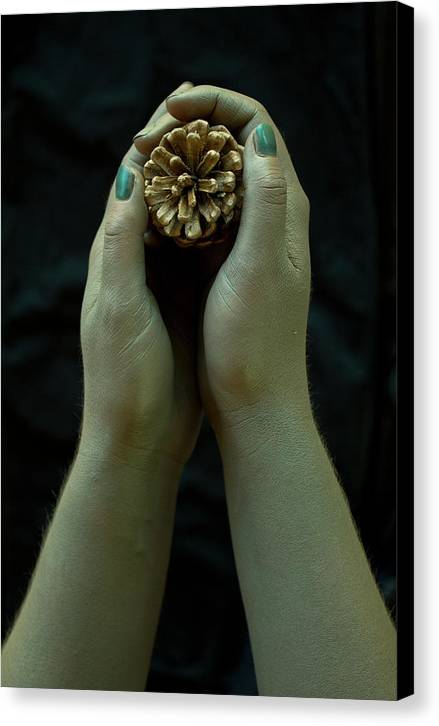 Dryad's Hands - Canvas Print