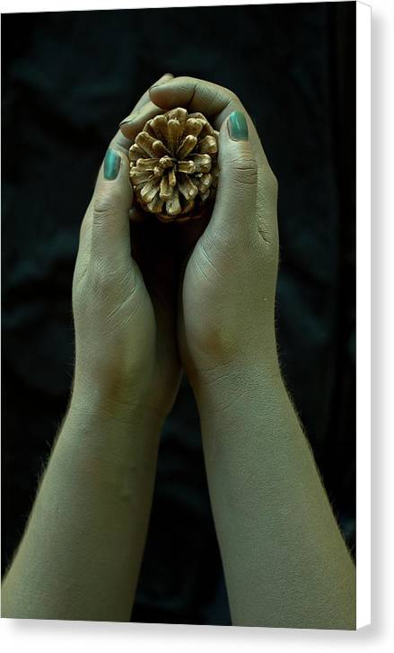 Dryad's Hands - Canvas Print