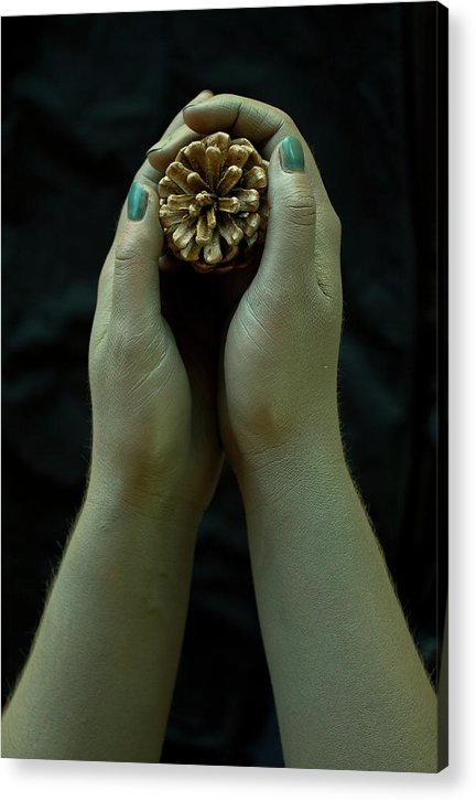 Dryad's Hands - Acrylic Print