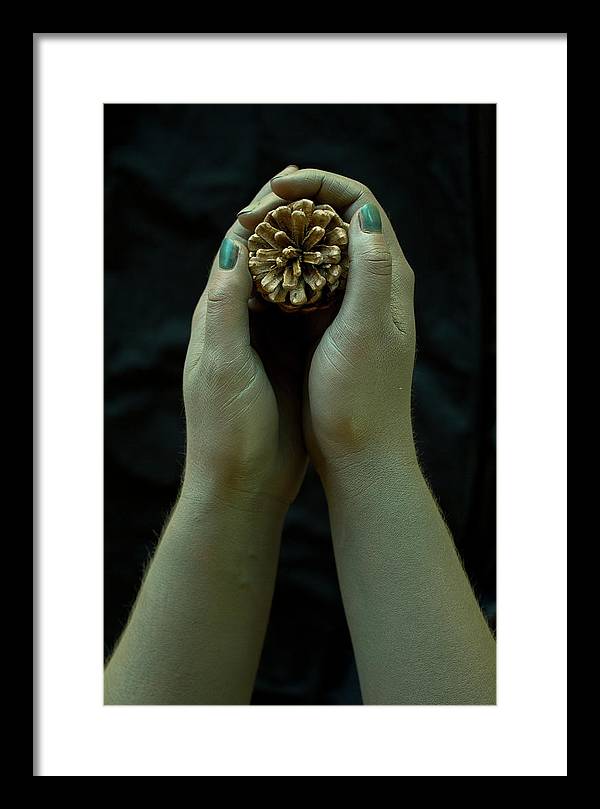 Dryad's Hands - Framed Print