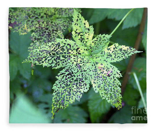 Leaf Lace - Blanket