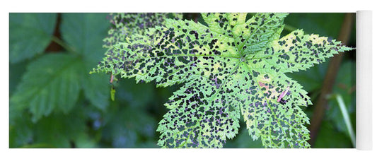 Leaf Lace - Yoga Mat