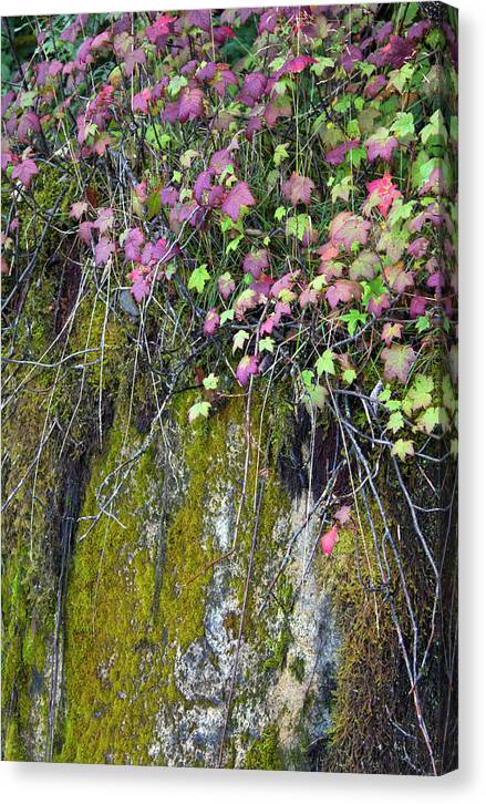 Neon Leaves No 2 - Canvas Print