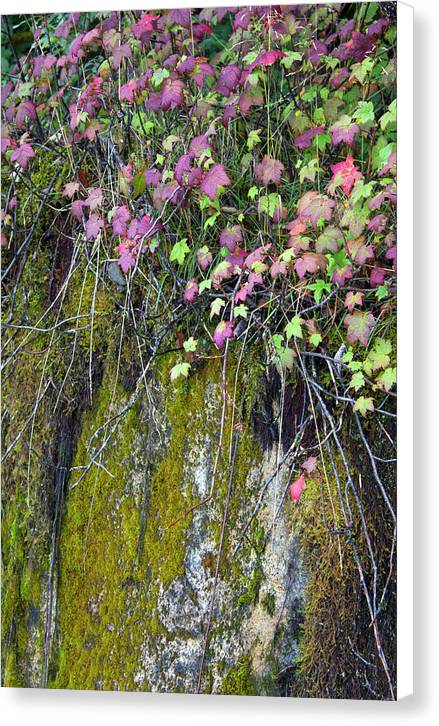 Neon Leaves No 2 - Canvas Print