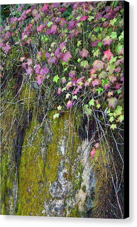 Neon Leaves No 2 - Canvas Print