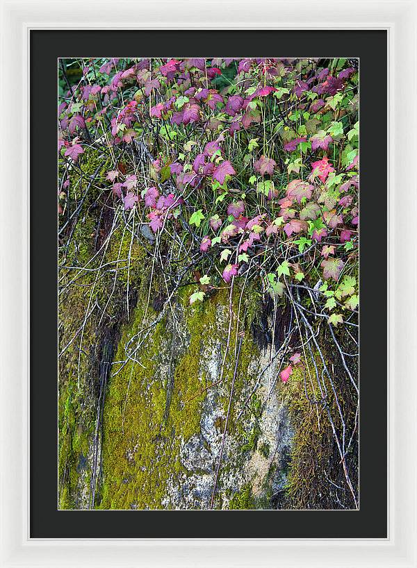 Neon Leaves No 2 - Framed Print