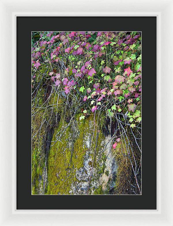 Neon Leaves No 2 - Framed Print