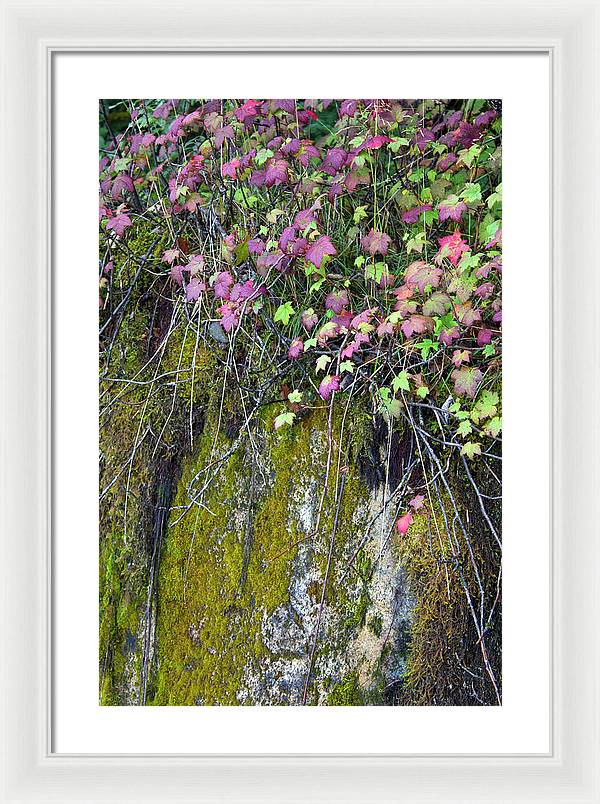 Neon Leaves No 2 - Framed Print