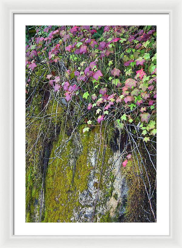 Neon Leaves No 2 - Framed Print