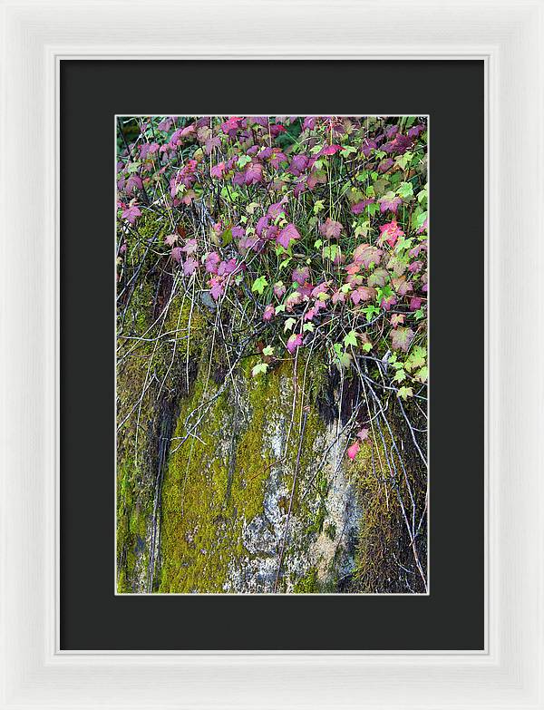 Neon Leaves No 2 - Framed Print
