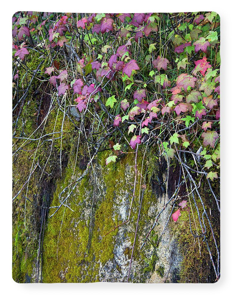 Neon Leaves No 2 - Blanket