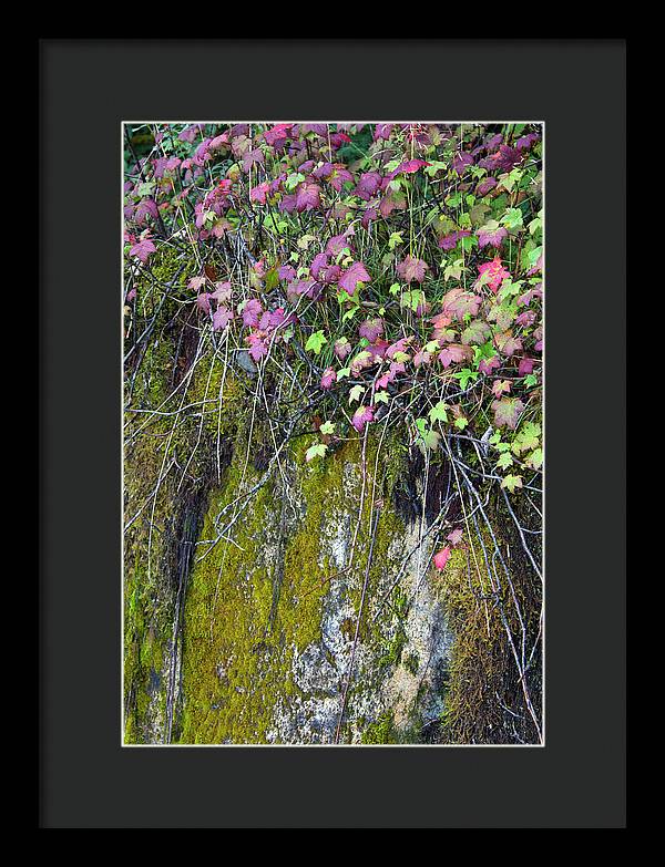 Neon Leaves No 2 - Framed Print