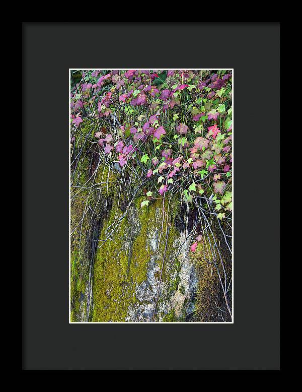 Neon Leaves No 2 - Framed Print