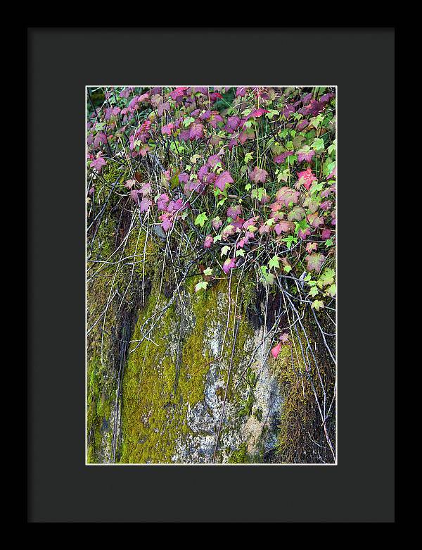 Neon Leaves No 2 - Framed Print