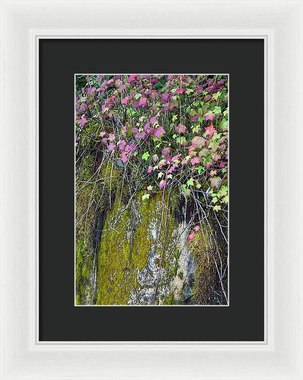Neon Leaves No 2 - Framed Print