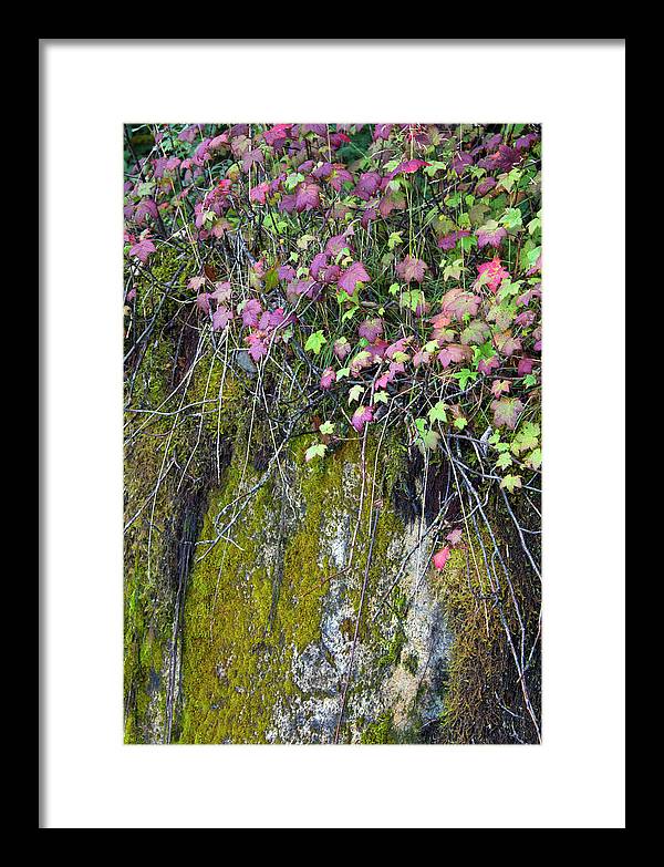 Neon Leaves No 2 - Framed Print