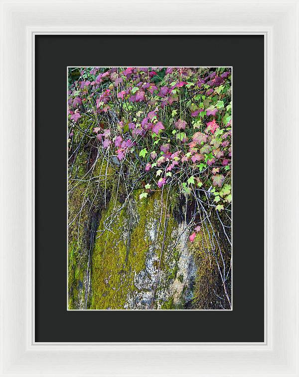Neon Leaves No 2 - Framed Print