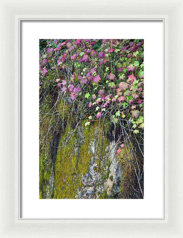 Neon Leaves No 2 - Framed Print