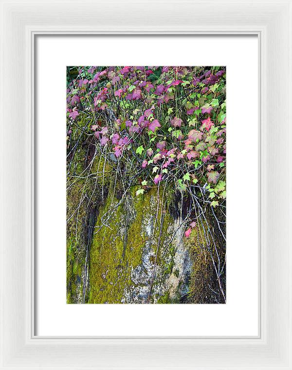 Neon Leaves No 2 - Framed Print