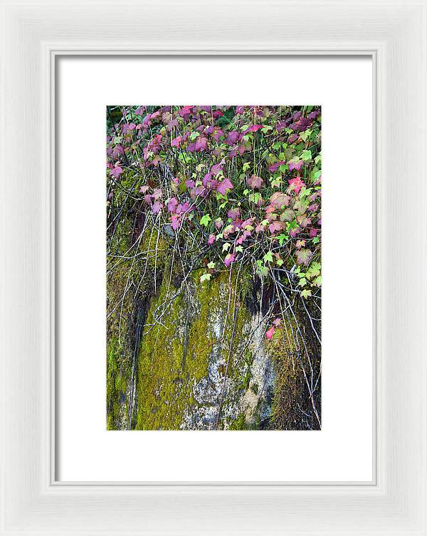 Neon Leaves No 2 - Framed Print