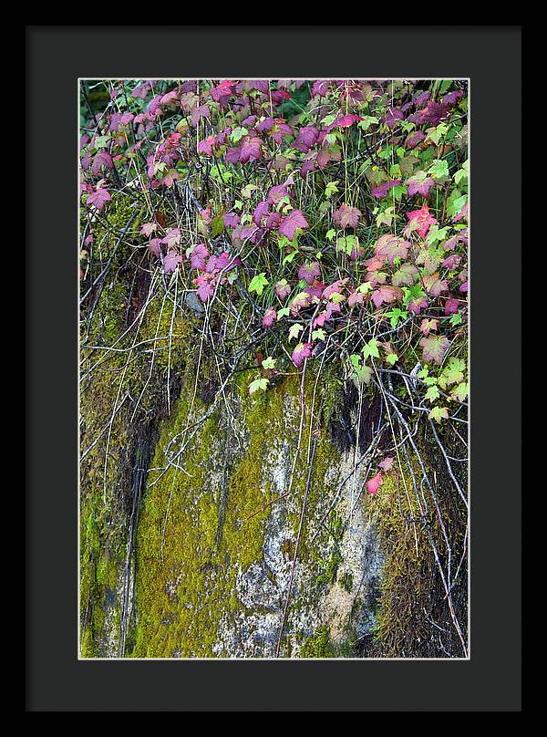 Neon Leaves No 2 - Framed Print