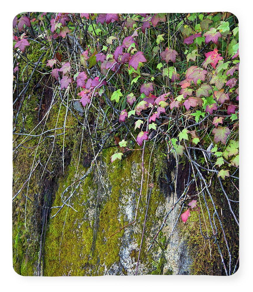 Neon Leaves No 2 - Blanket