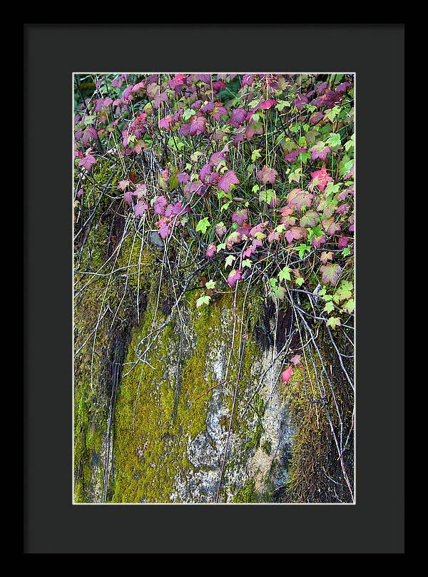 Neon Leaves No 2 - Framed Print